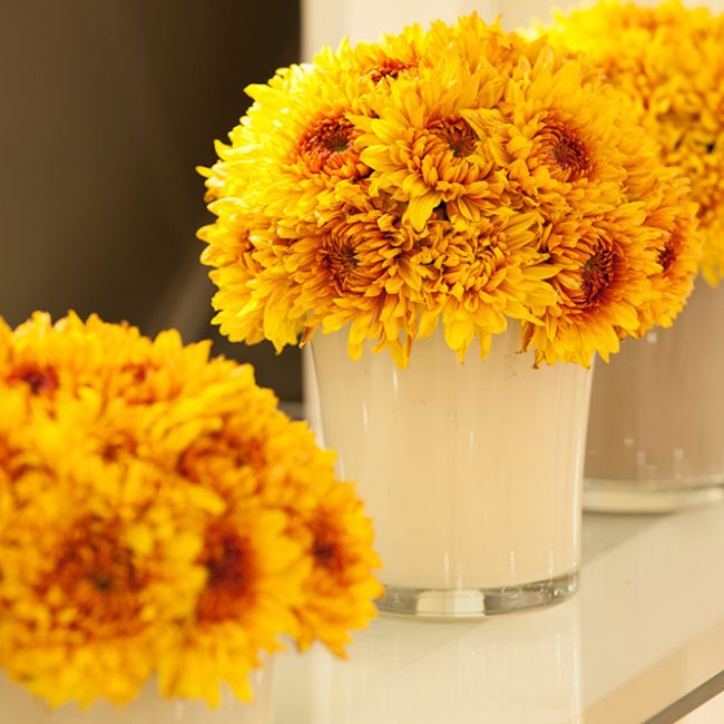 Chrysanthemum Bouquet