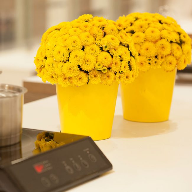 Yellow Flower Bouquet Arrangement